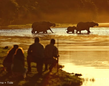 Safári na Zâmbia e Victoria Falls